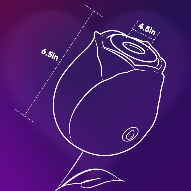20240619192802_19291.jpg